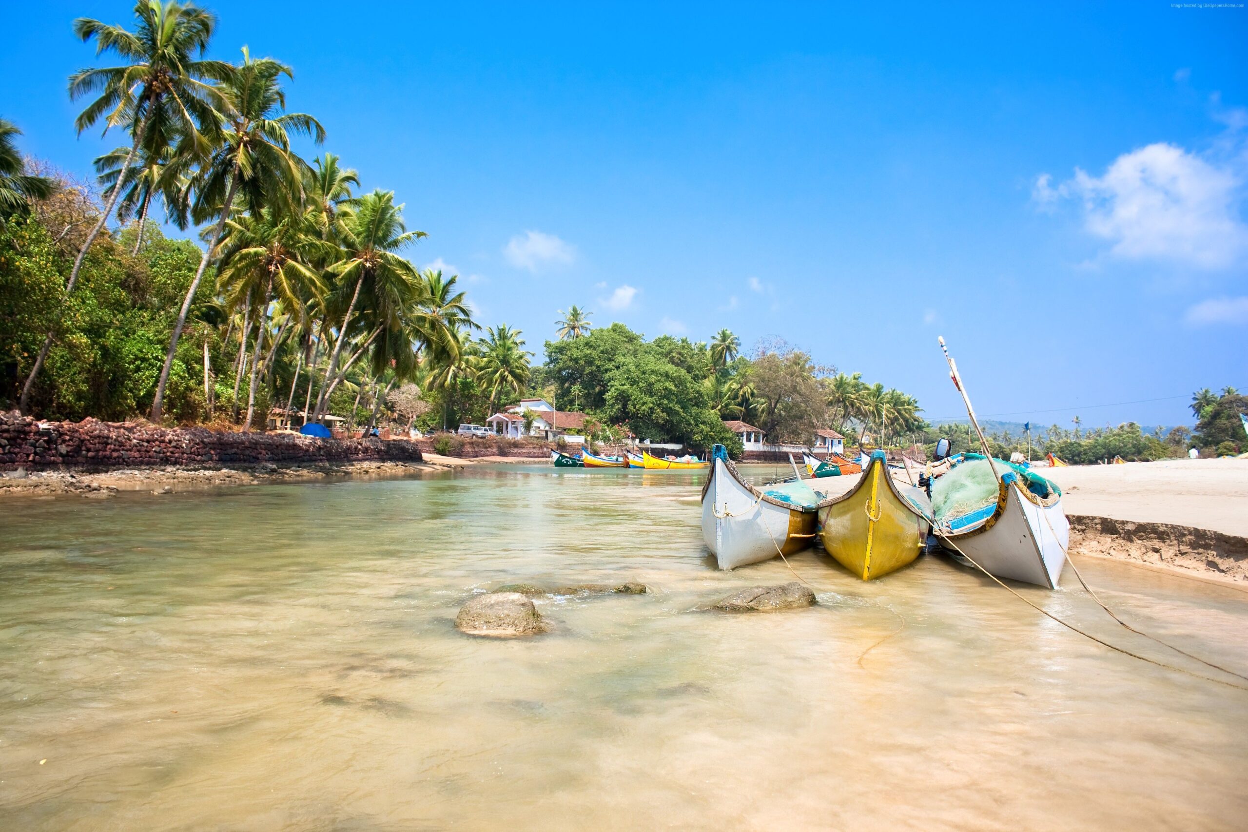 Goan Bean with three boats and palm trees